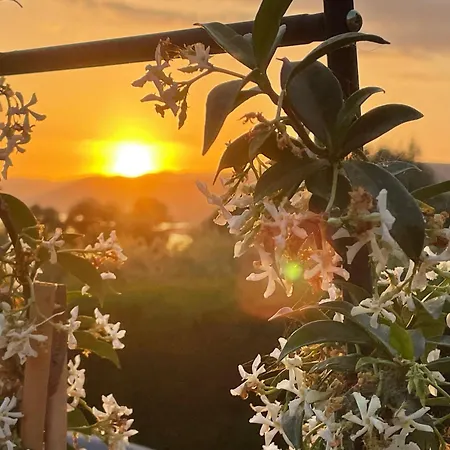 Ferienhaus Ile De Beaute Propriano (Corsica)