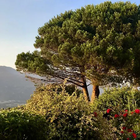 Holiday home Ile De Beaute Propriano (Corsica)