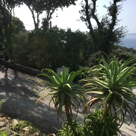 Tatil Evi Ile De Beaute Propriano (Corsica)