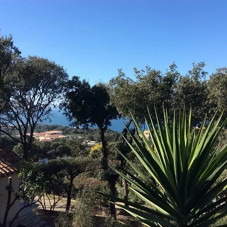 Ile De Beaute * Propriano (Corsica)