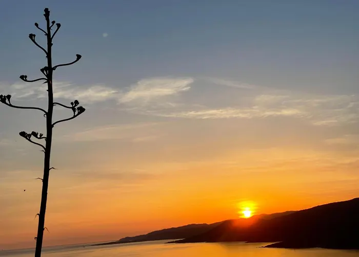 Résidence île De Beauté
