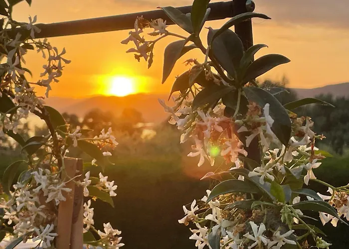 Hébergement de vacances Résidence île De Beauté Propriano (Corsica)
