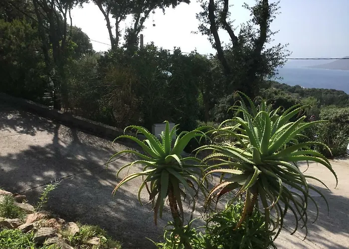 Hébergement de vacances Résidence île De Beauté Propriano (Corsica)