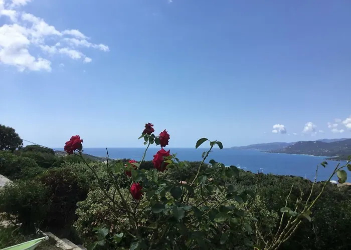 Ile De Beaute * Propriano (Corsica)